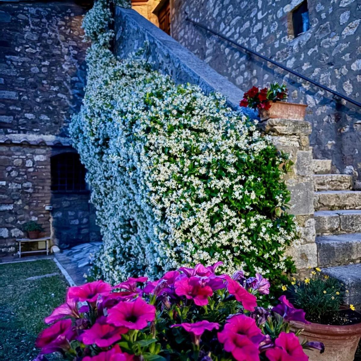 Bed and Breakfast Residenza Santa Maria In Borraccia Мальяно-ін-Тоскана Екстер'єр фото