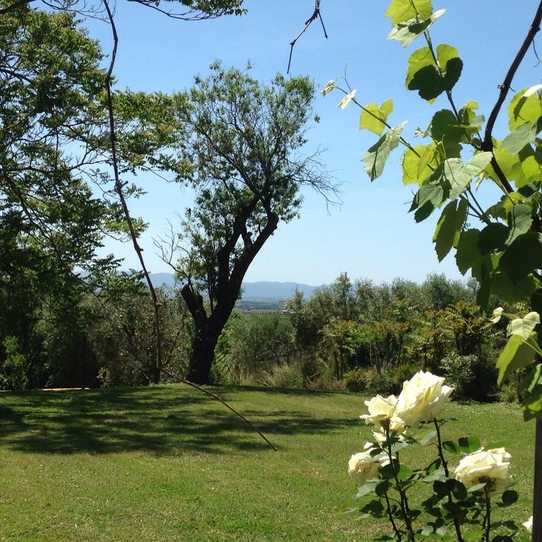 Bed and Breakfast Residenza Santa Maria In Borraccia Мальяно-ін-Тоскана Екстер'єр фото