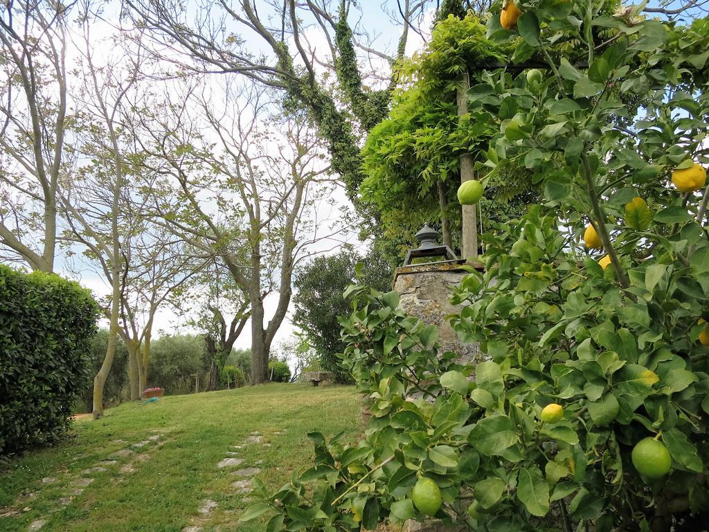 Bed and Breakfast Residenza Santa Maria In Borraccia Мальяно-ін-Тоскана Екстер'єр фото