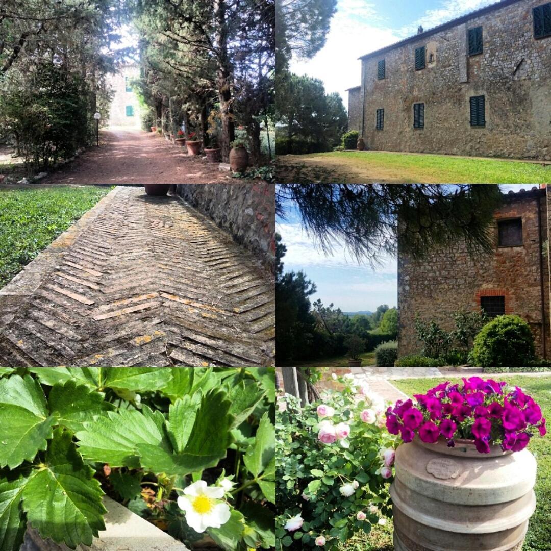 Bed and Breakfast Residenza Santa Maria In Borraccia Мальяно-ін-Тоскана Екстер'єр фото