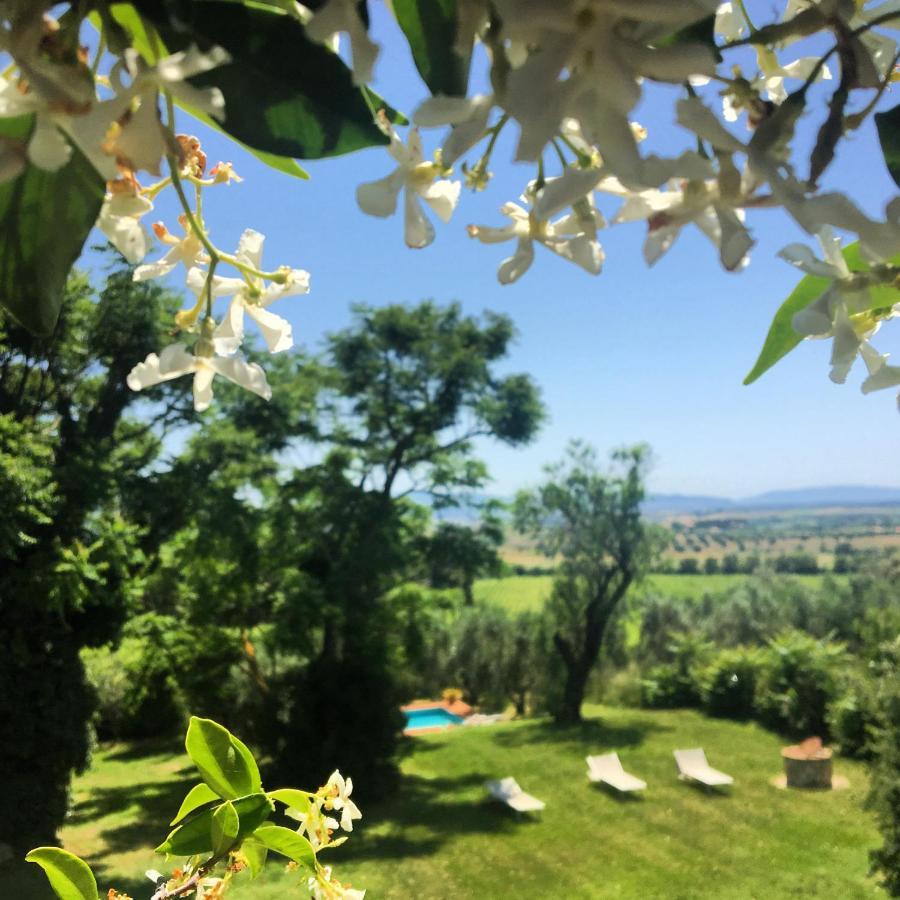 Bed and Breakfast Residenza Santa Maria In Borraccia Мальяно-ін-Тоскана Екстер'єр фото