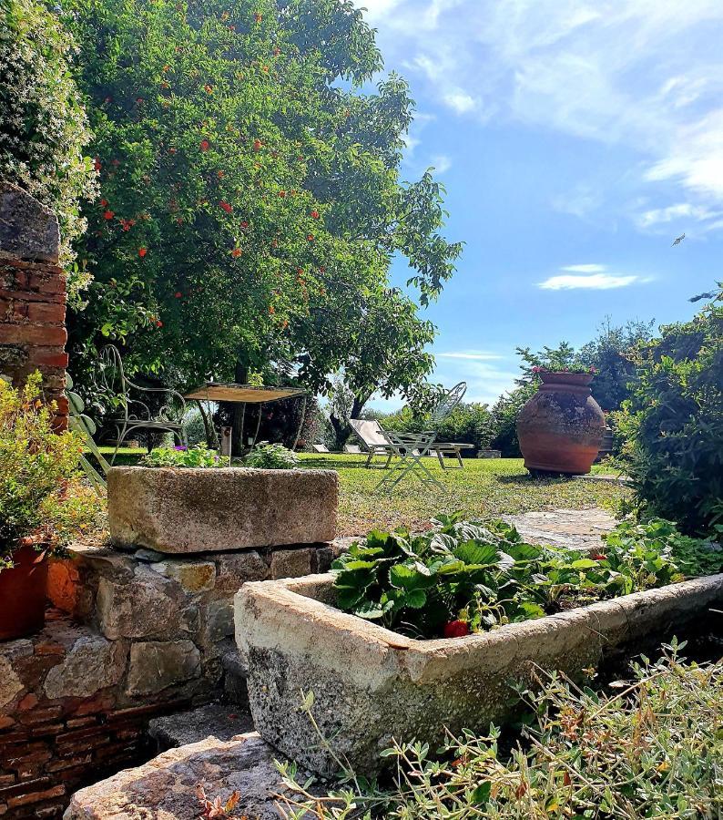 Bed and Breakfast Residenza Santa Maria In Borraccia Мальяно-ін-Тоскана Екстер'єр фото